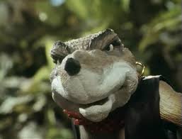 weasel.jpg