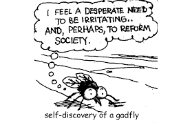 gadfly2.png