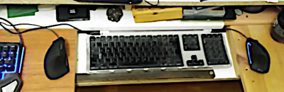 twoRATS.png