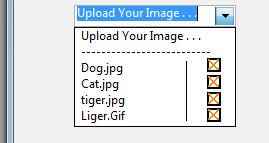 ComboBox-Delete.jpg