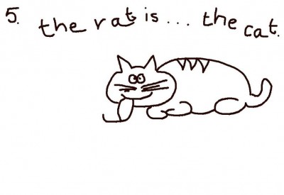 ratCat.jpg