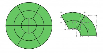 LV segments bullseye issue.jpg