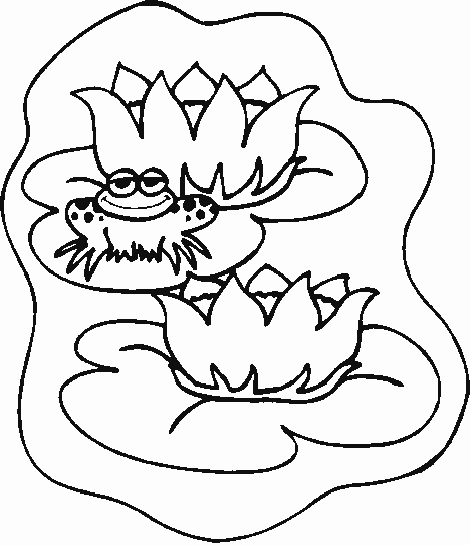 frog-LineDrawing.gif