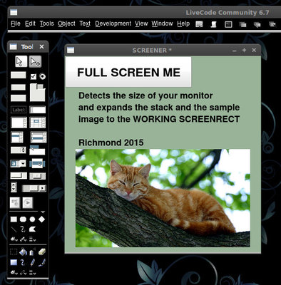 screener.jpg