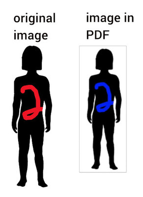 example.jpg